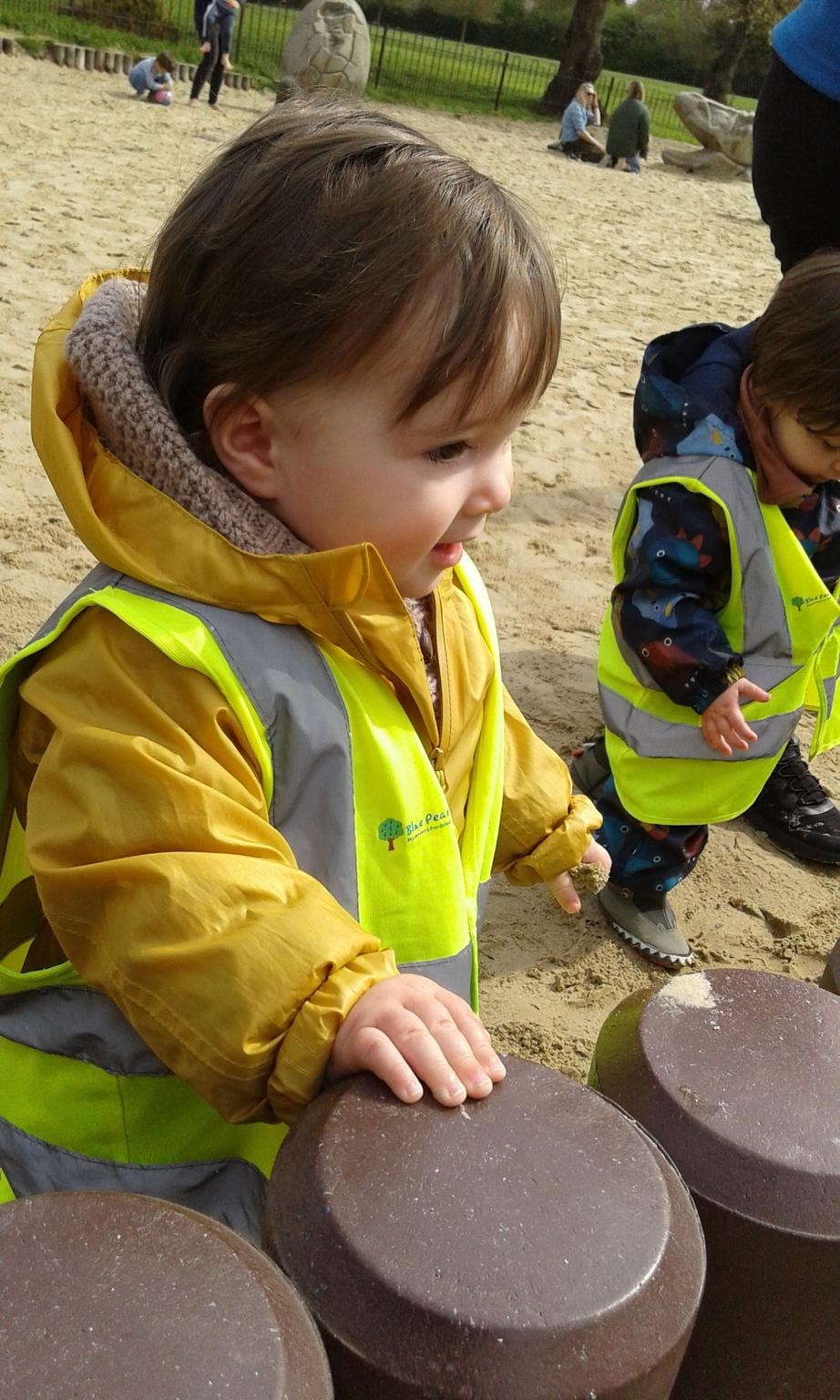 Children exploring the nursery garden on a sunny day