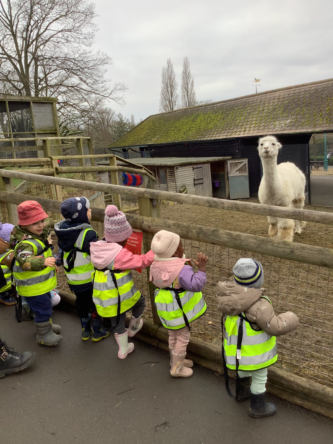 Children getting hands-on with nature and sensory outdoor play